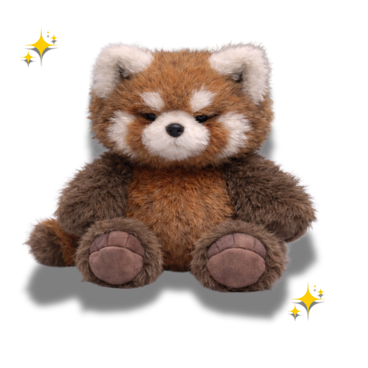 Infamous Raccoon Limited Edition